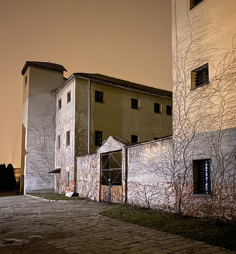 Stara ceglana i tynkowana budowla z metalową bramą i pnącymi się suchymi gałęziami, podświetlona nocą.